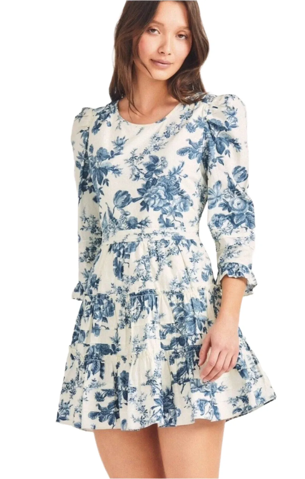 Love Shack Fancy Women's Lienzo Blue White China Floral Toile Print Mini Dress – Size 4