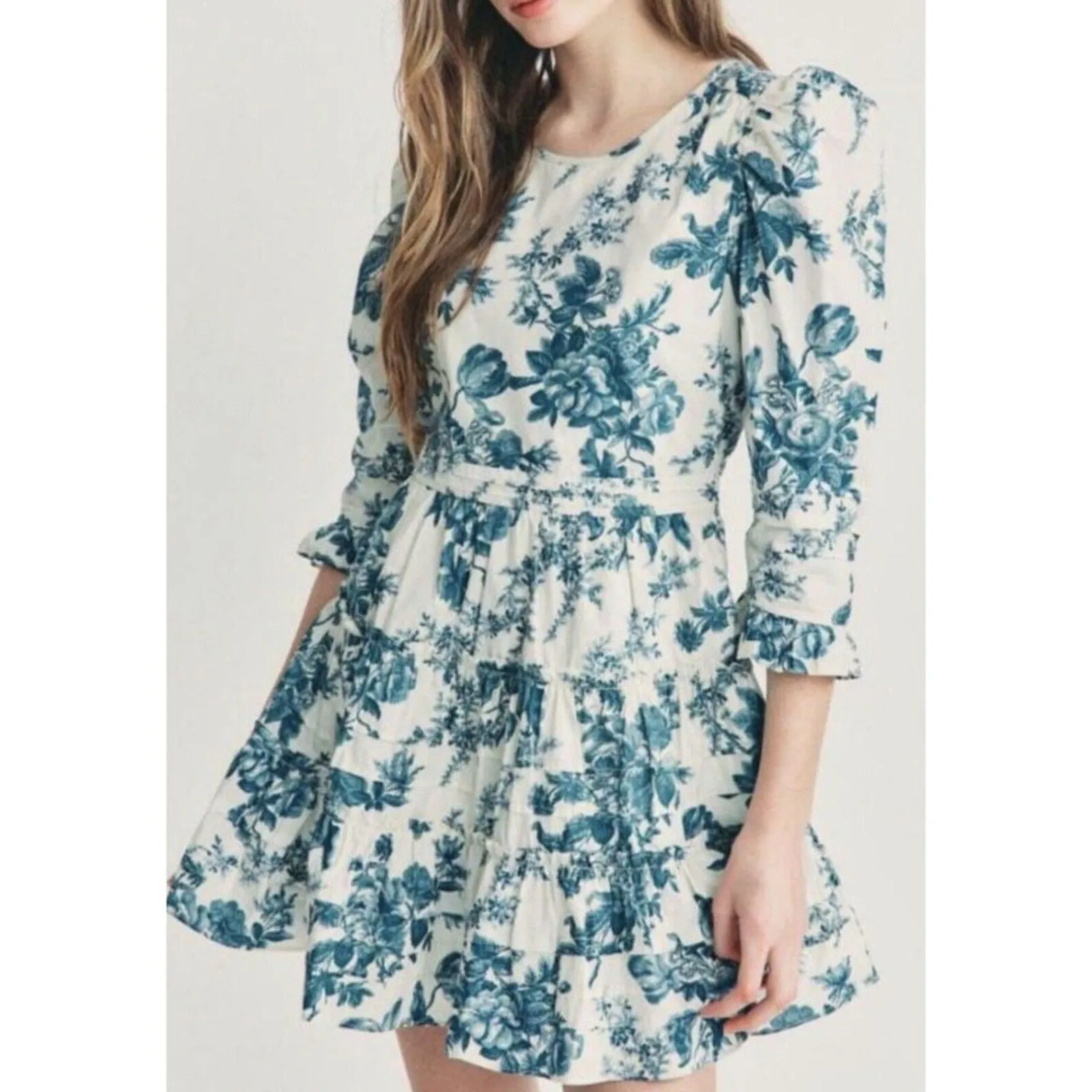 Love Shack Fancy Women's Lienzo Blue White China Floral Toile Print Mini Dress – Size 4